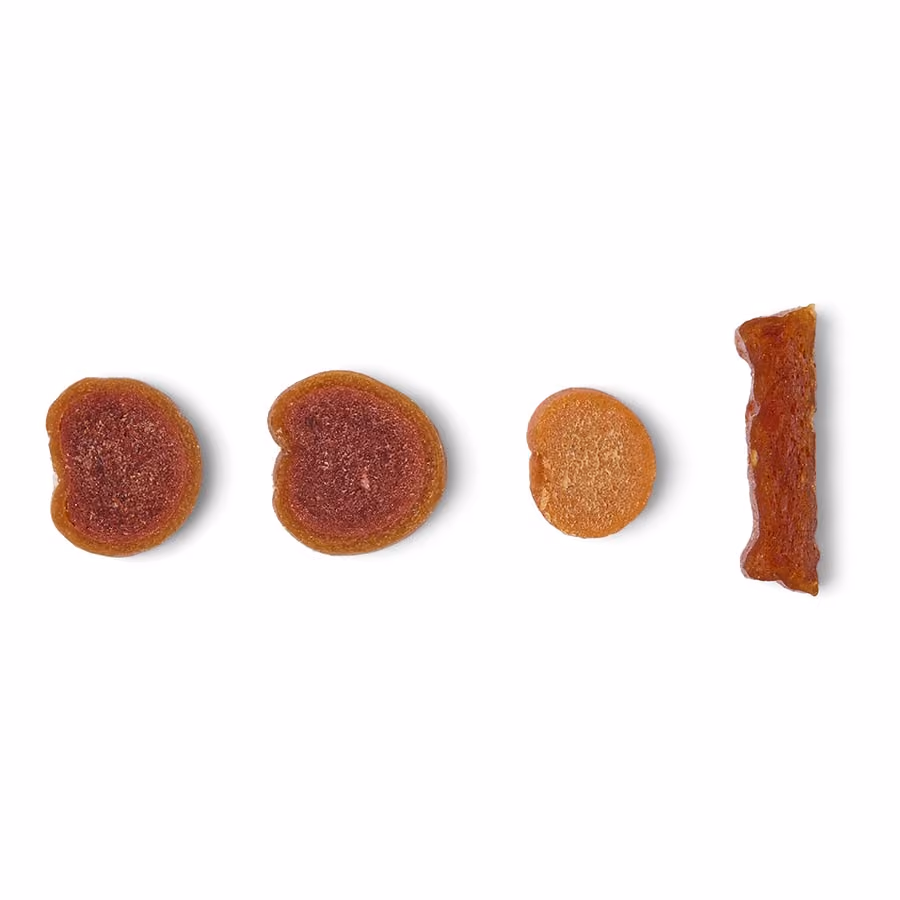 One of each treat in a row: the Wellington bite, the salmon canapé, the crab slice and the duck bite