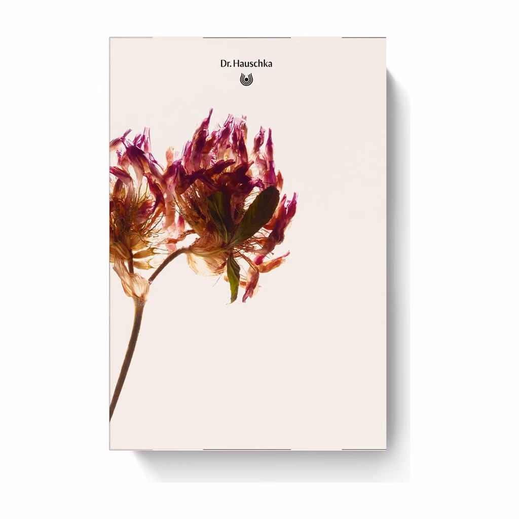 Dr. Hauschka bliss 2026, Dr. Hauschka advent calendar