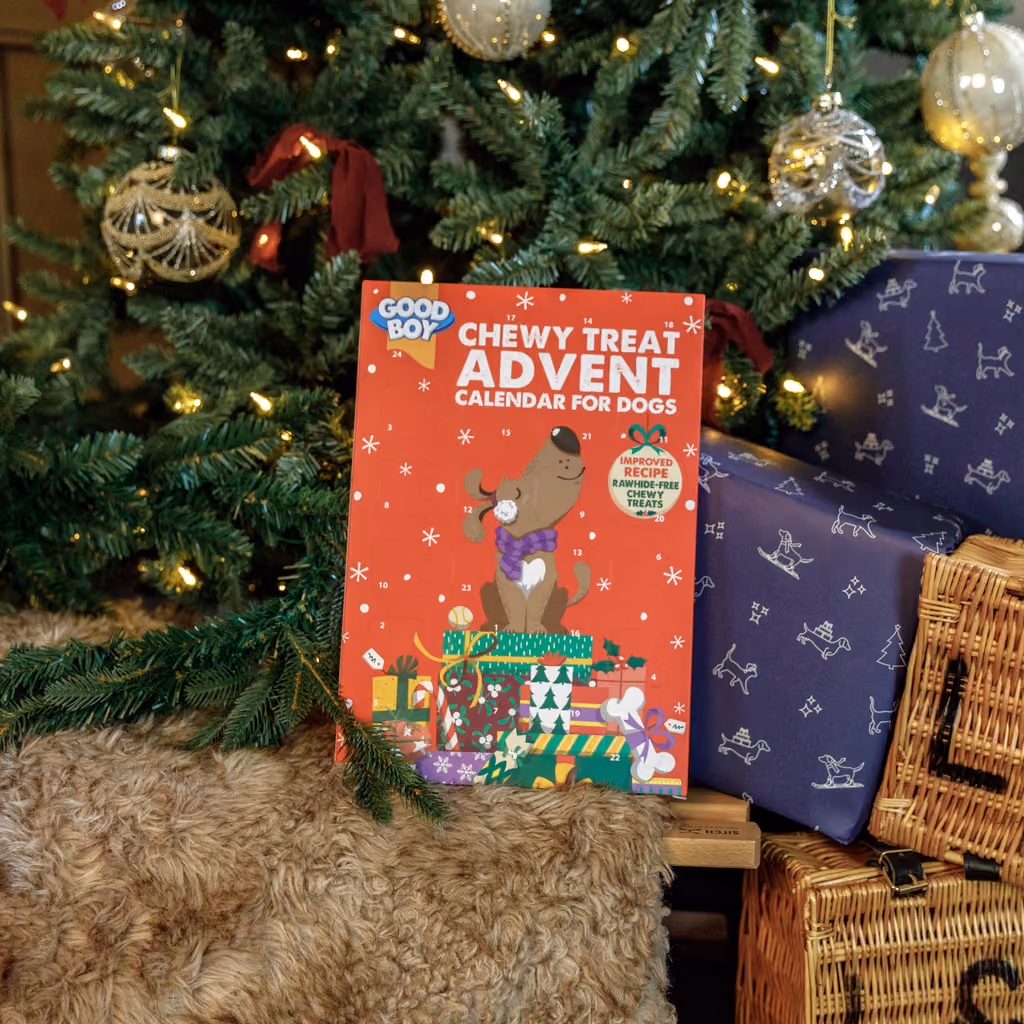 Good Boy Chewy Dog Advent Calendar 2026, Good Boy advent calendar