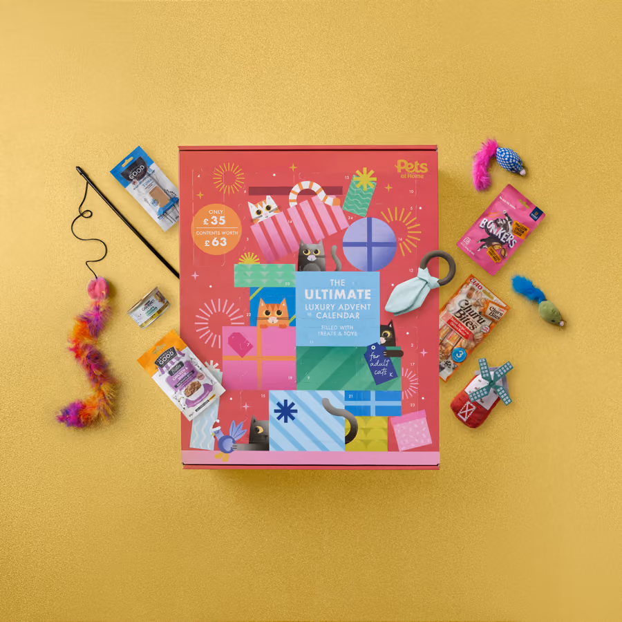 The box with the treats and toys laid out around it