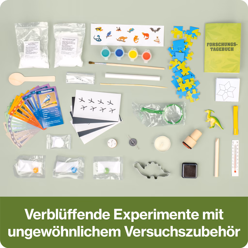The experiment materials laid out: paints, quartet cards, magnifier, thermometer, stamp and a dinosaur figure