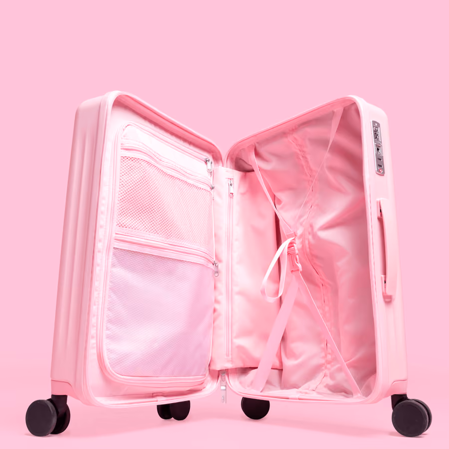 The empty suitcase standing open, its pockets and straps showing