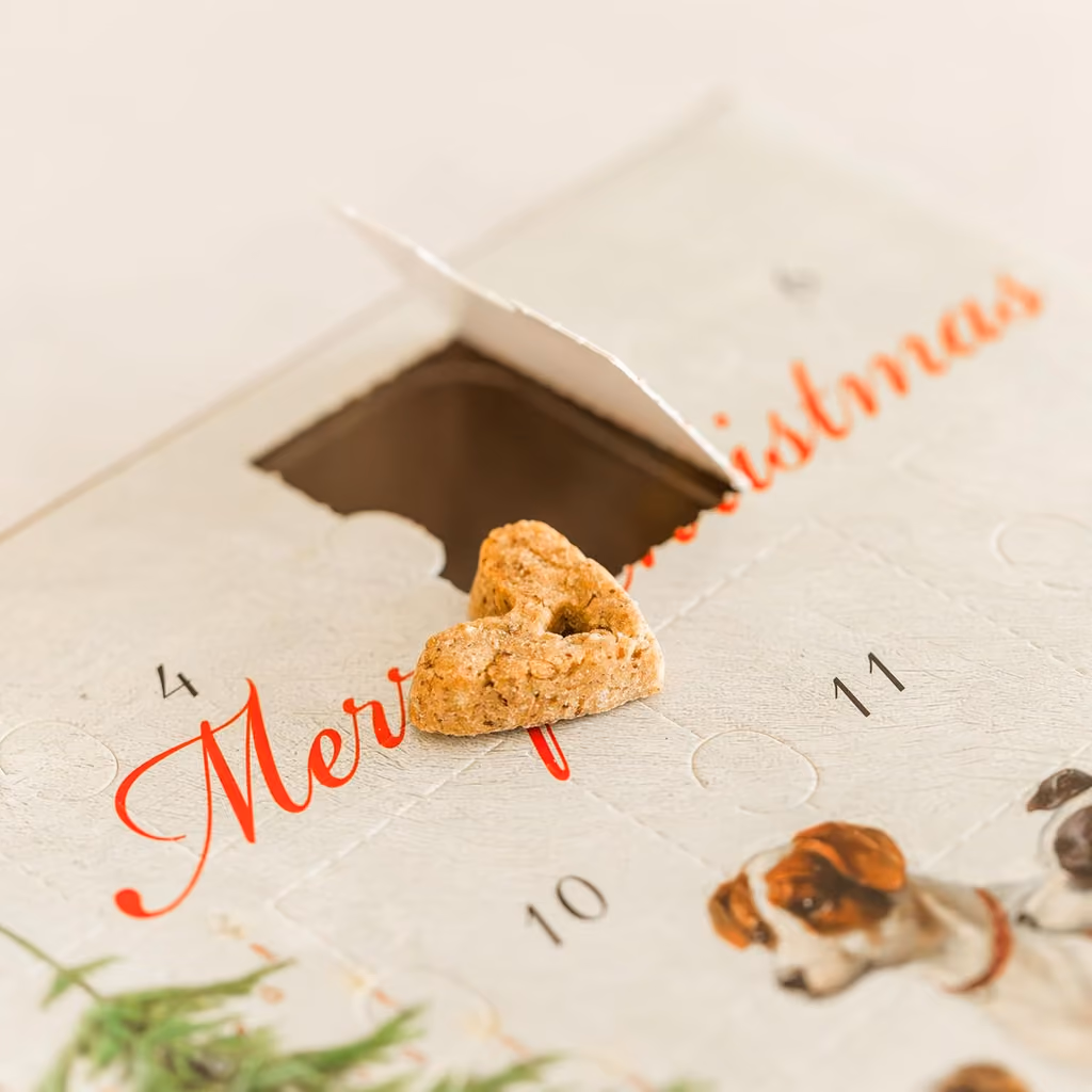 A door opened on the calendar with a biscuit inside
