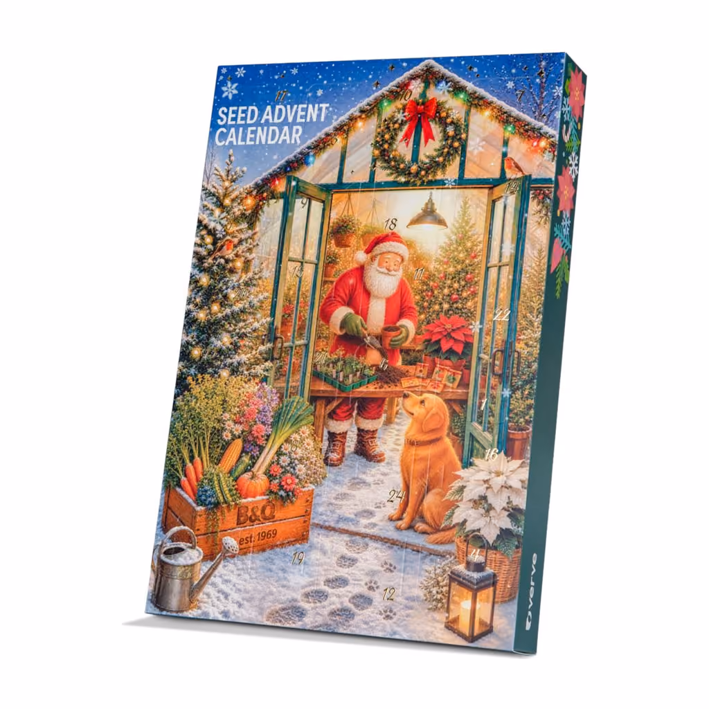 B&Q Seed Advent Calendar 2026, B&Q advent calendar